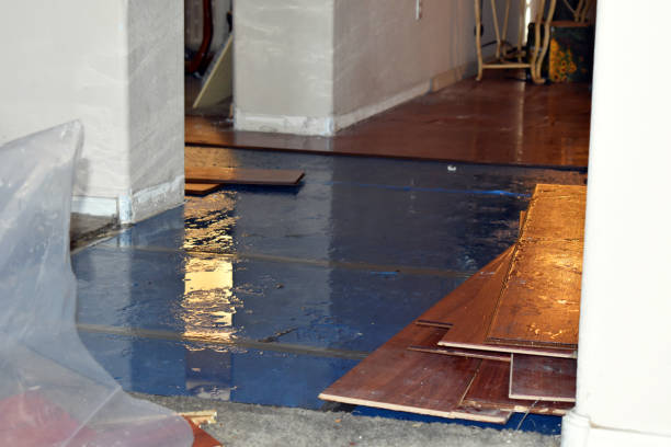 Professional Flood Cleanup technician working in Jasper, MI